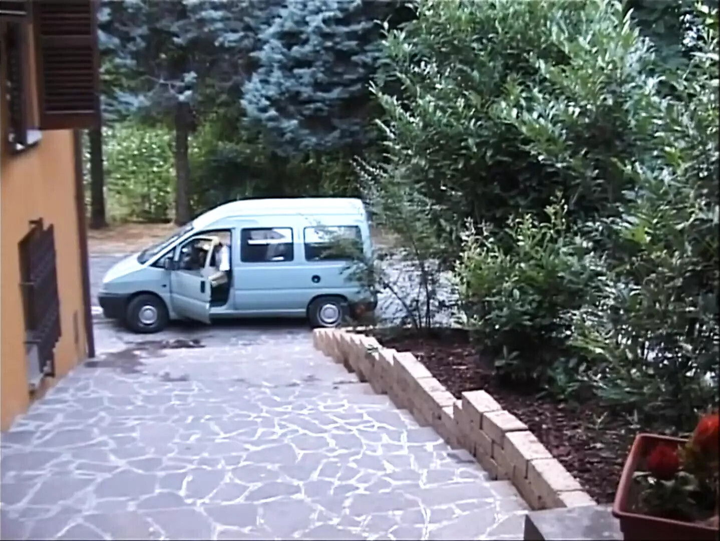 Cougar Needs Hard Cock!