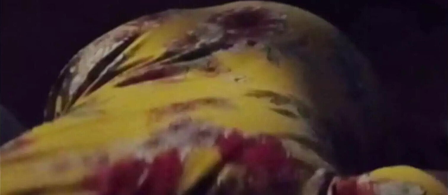 Aunty Have Birthday Surprise