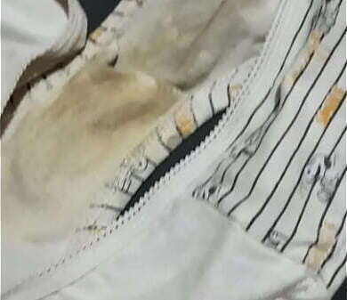 Calzon snoopy ovulando