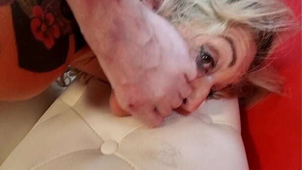 EXTREME BRUTAL FIRST AIlyn Tattoo total destruction inked skinny MILF with multiple REAL ORGASMS [DRY]