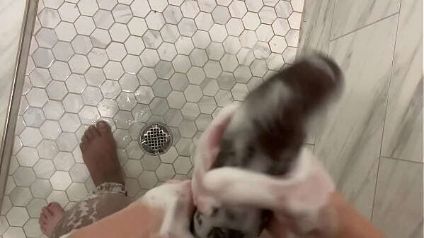 Horny Stepdaughter listens stepdad fuck sleep then sneaks into bathroom shower with