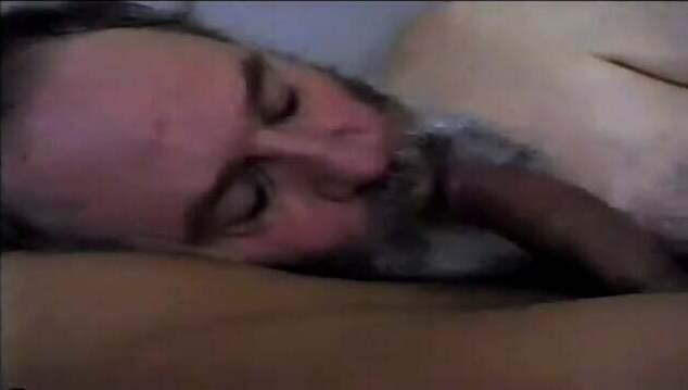 Bearded Sucks Swallows