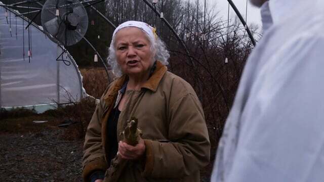 Cocaine.Werewolf.2024.1080p.WEBRip.x264.AAC-[YTS.MX].mp4... Speed: Mbps