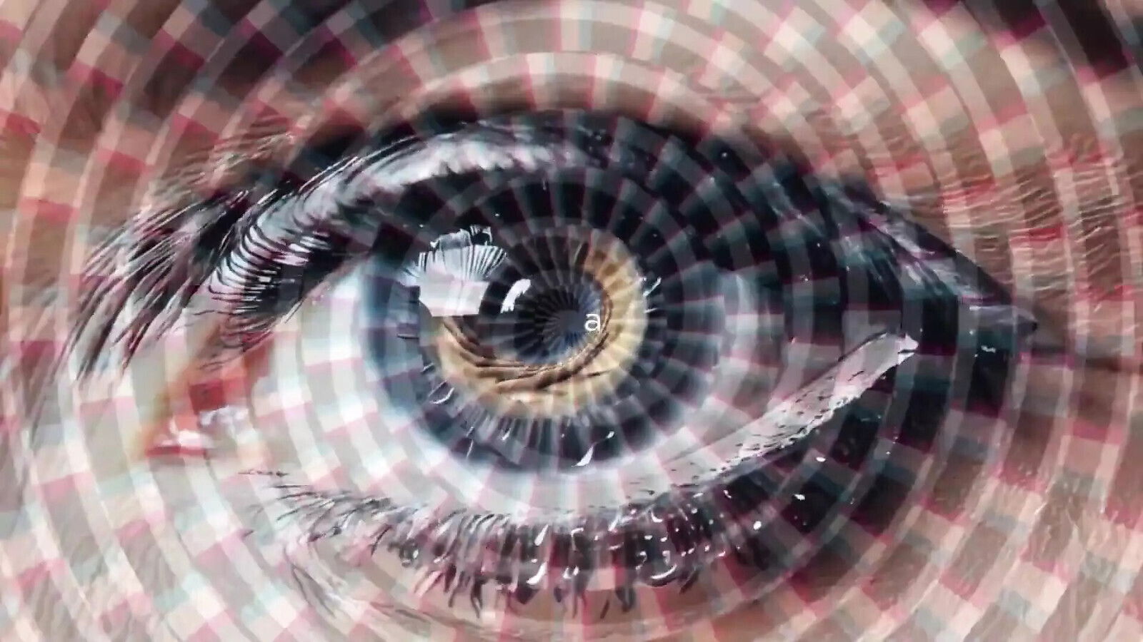 Trash Reality Embrace Your Role, Reject Everything Sexual Alpha