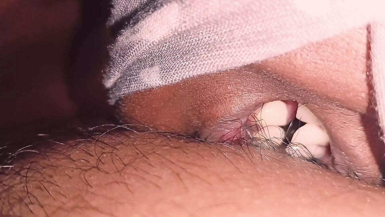 black beauty sucking hard