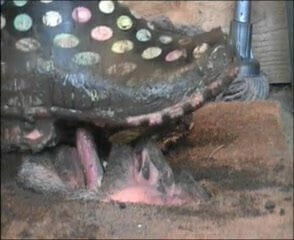 Most extraordinary doormat