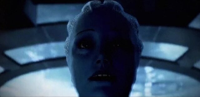 ШЕПАРД ИГРАЕТЬСЯ КИСКАМИ