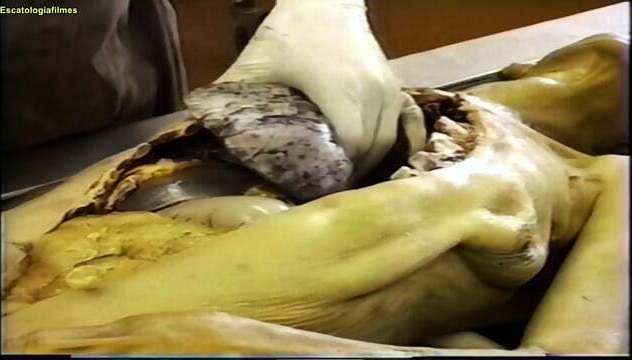 Arquivos Morte Barbaridades