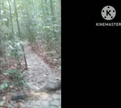 Outdor handjob Pat12