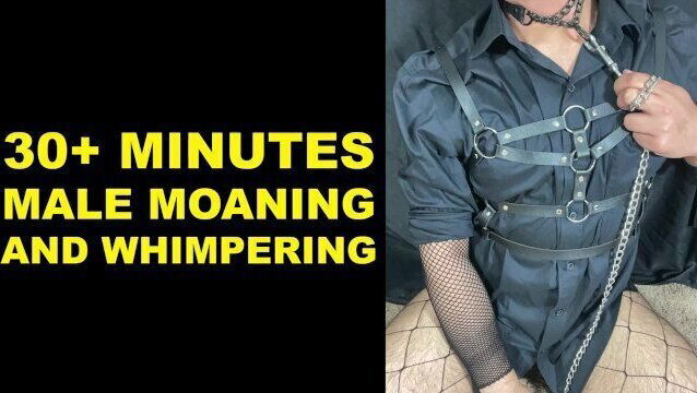 ASMR Male Moaning Whimpering (Compilation Audio)