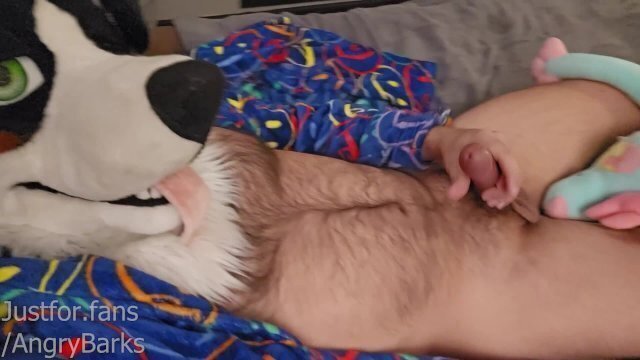 Furry eunuch jerks until cums