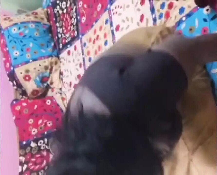 Indian Tamil Wife Sharing