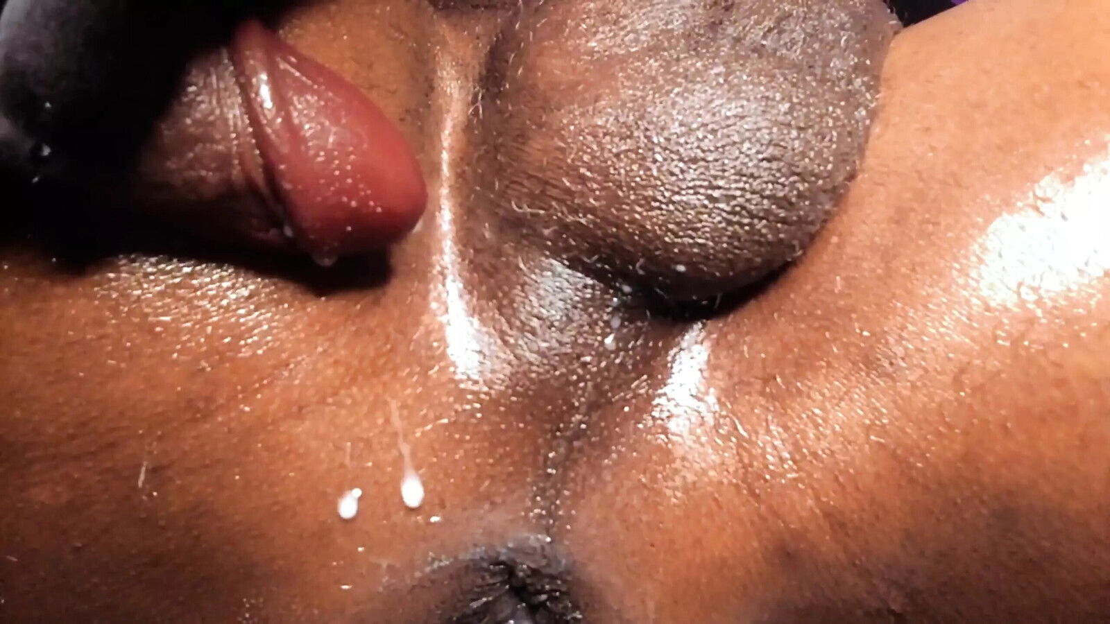 Ms300 Sarazia Exotic Feeding Hungry Pussy