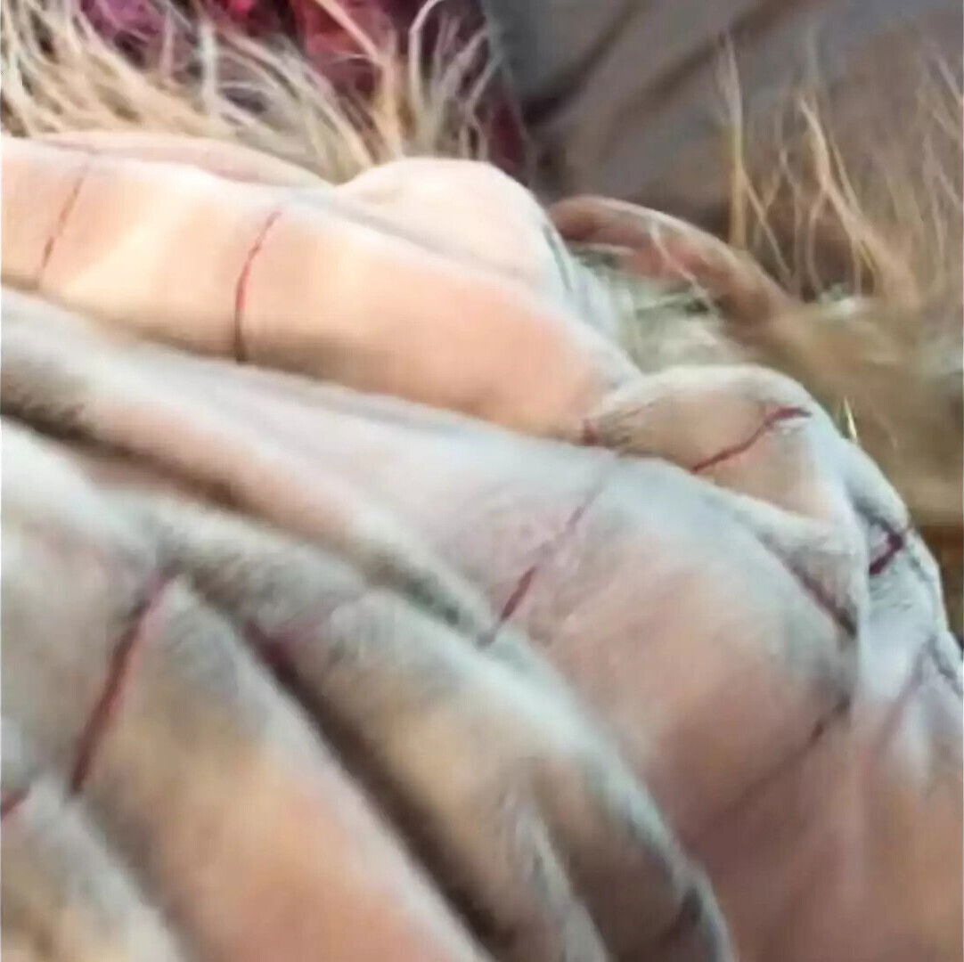 Step eats lunch step bros juicy