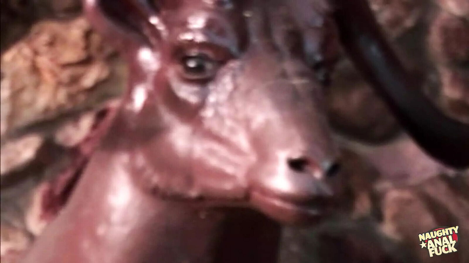 Cheating Husband Gives Busty Blonde Outdoor Pounding Will Always Remember