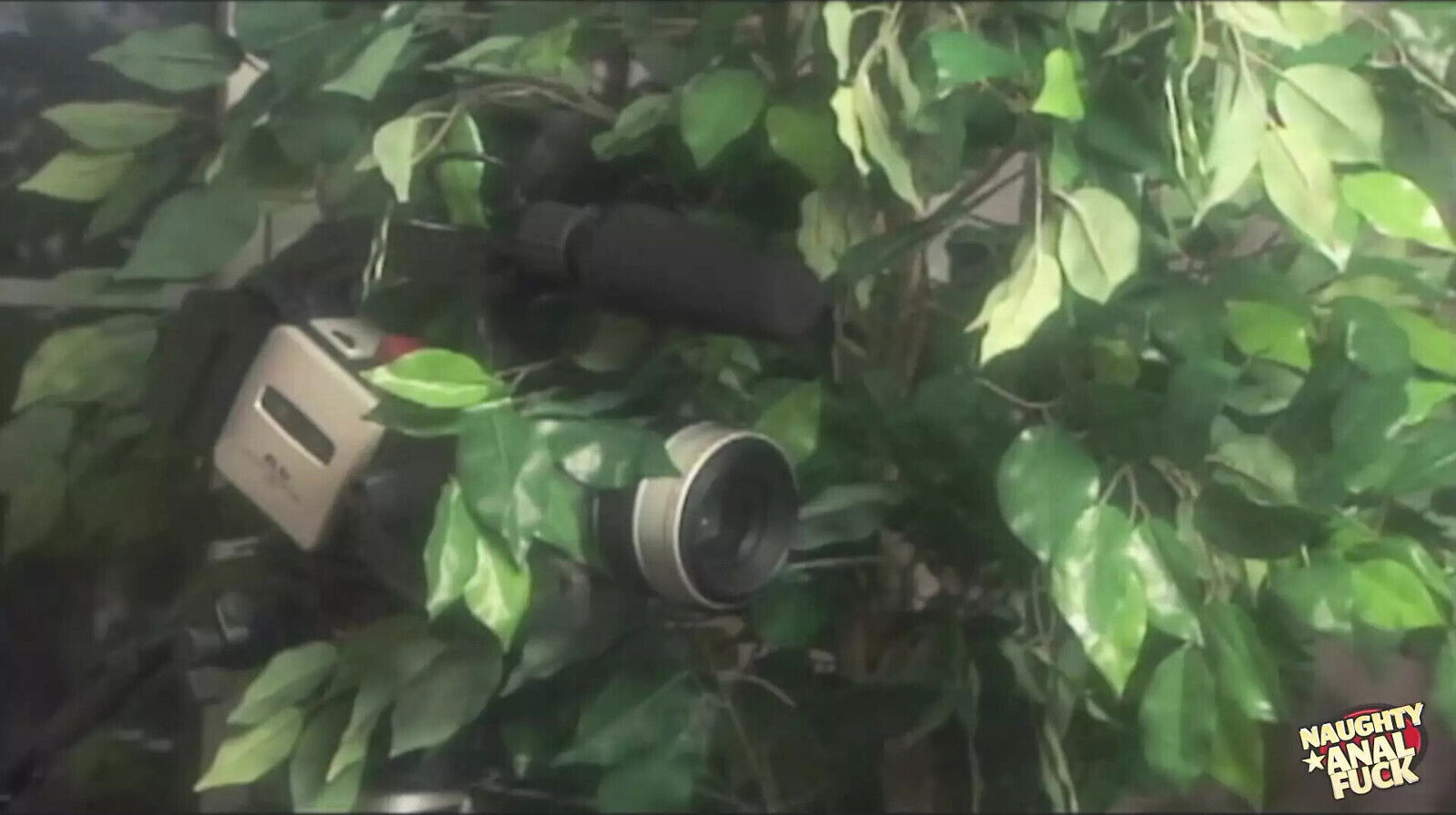 Naturally Curvaceous Redhead Spreads Buns Allow Cocks Angrily Scold Her.