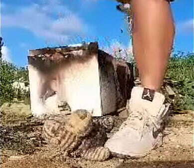 Destruindo pel&uacute_cia t&ecirc_nis