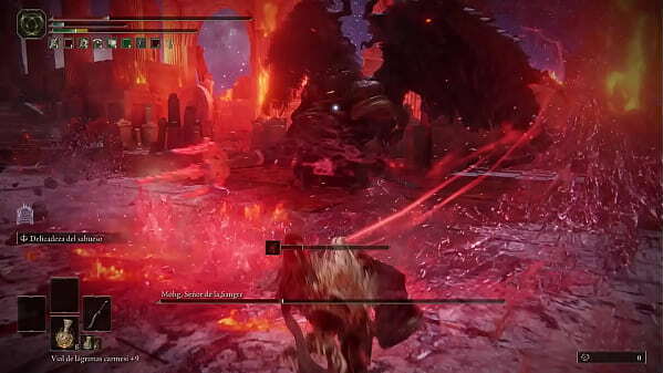 follo perra Mohg per&iacute_odo