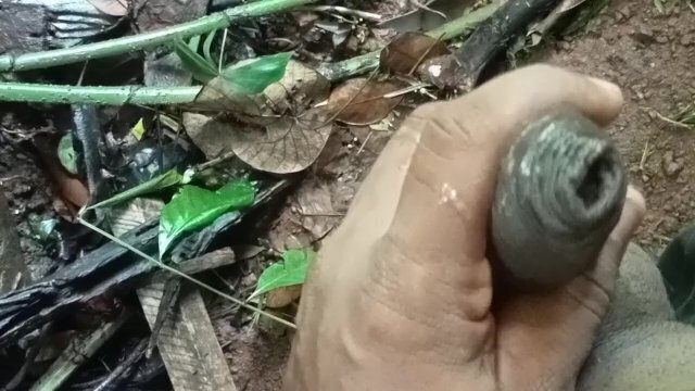 A quick discharge of cum in the jungle