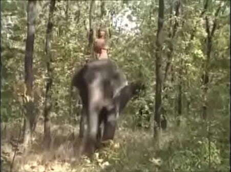 Selen reine &eacute_l&eacute_phant 1997