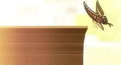 kiss seen girl full nude