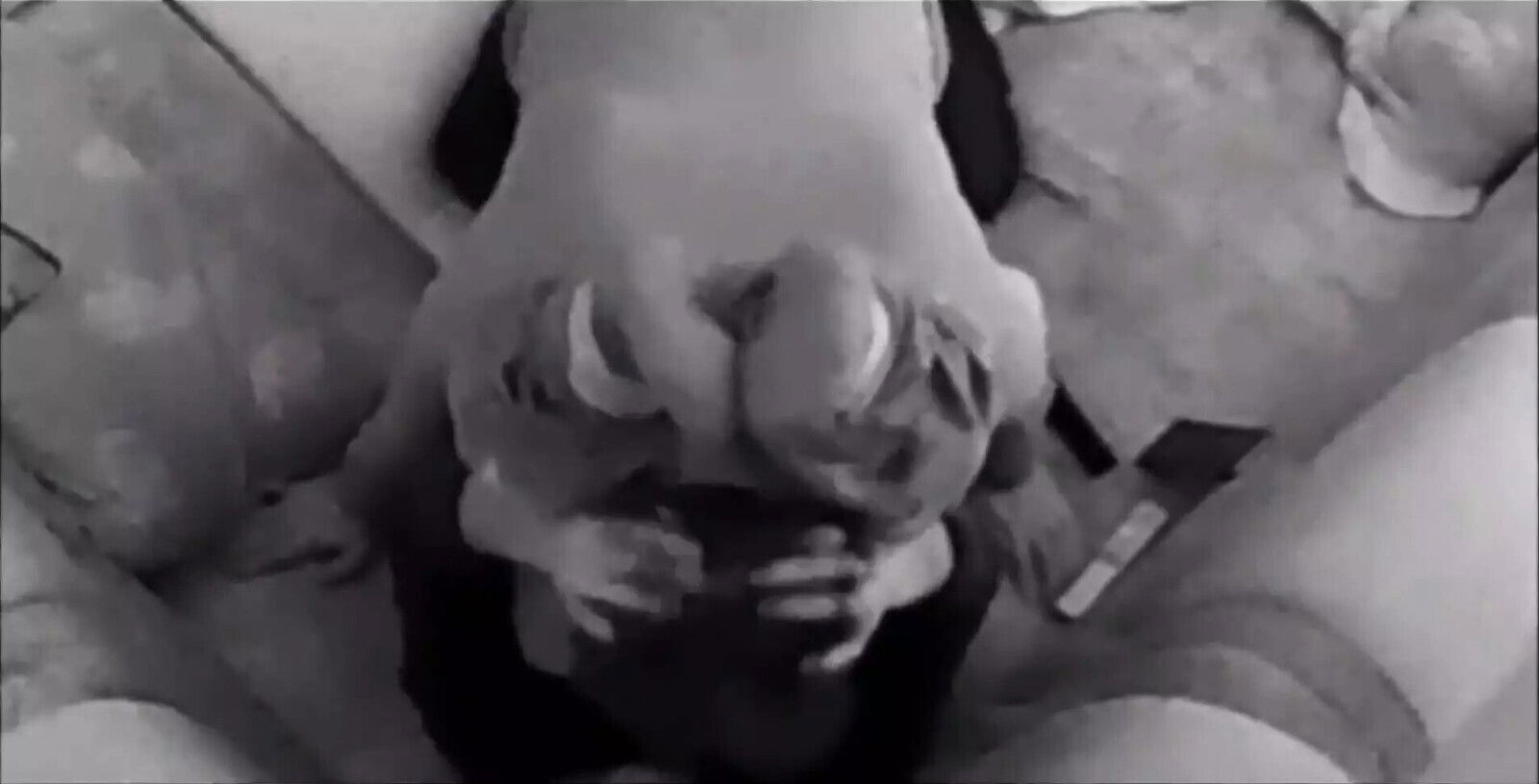 Twinks Caught Rimming Breeding Cam!