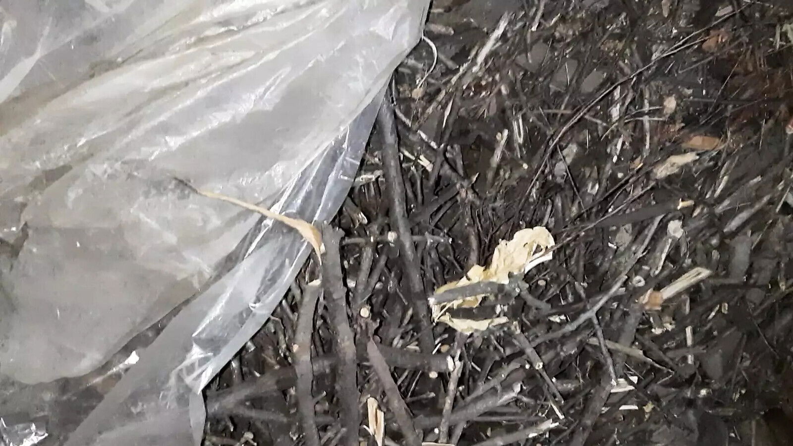 village hide from everyone lesbians