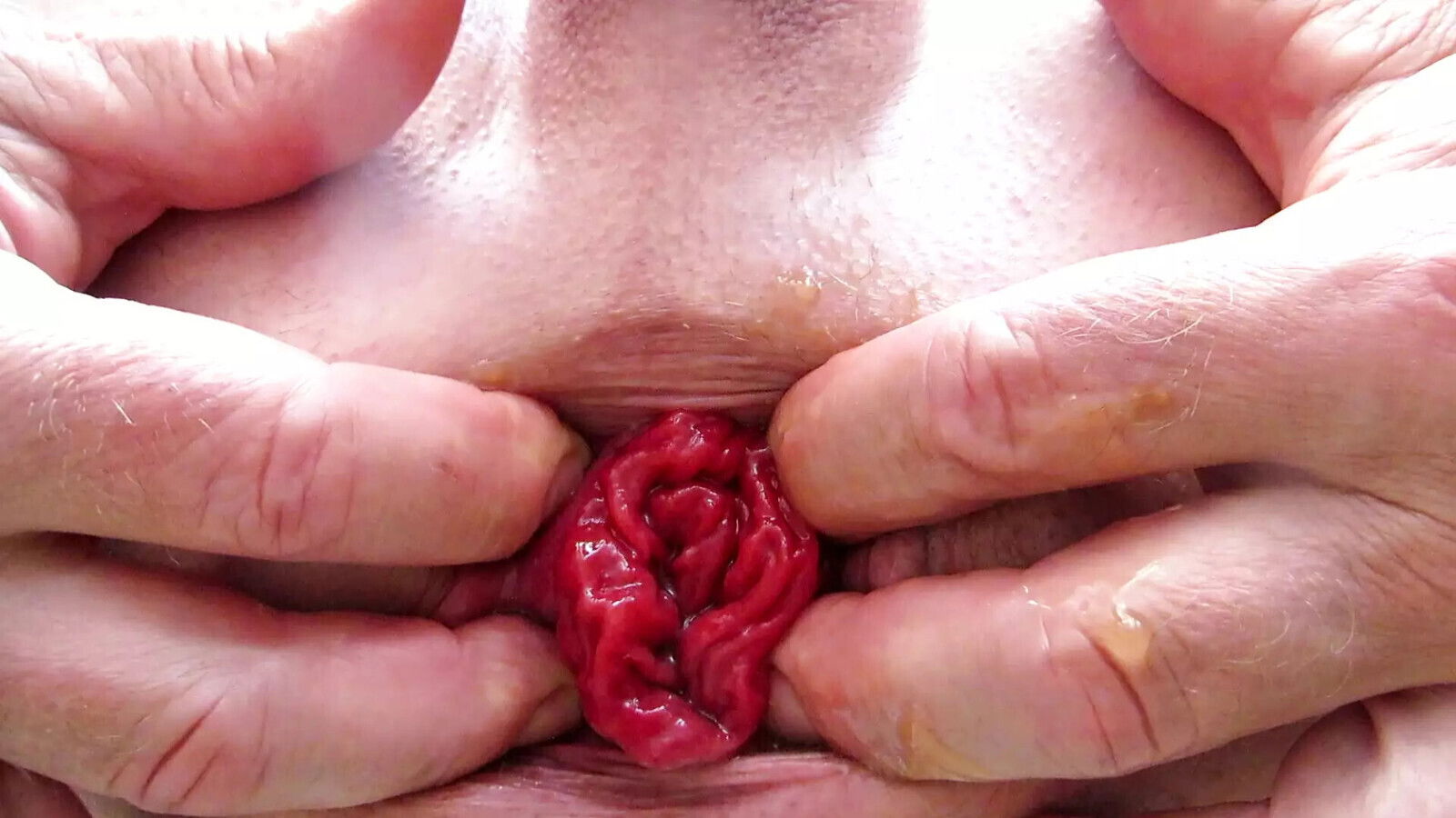 Couples dropping juicy cunts