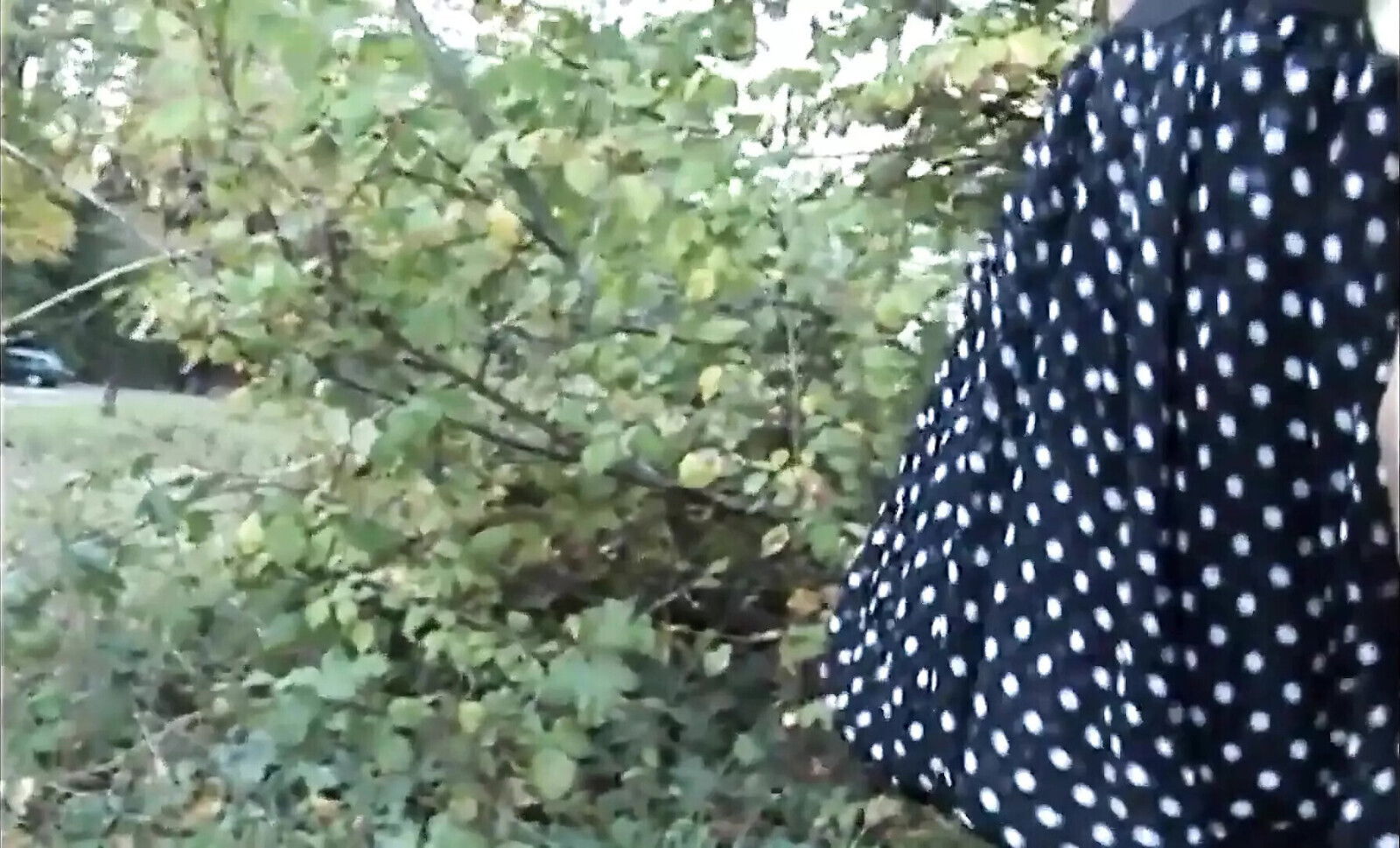 Wonderful Brunette MILF with Perfect Masturbates Then Gets Fucked Cummed Mouth