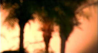 Kylee King Need Dick