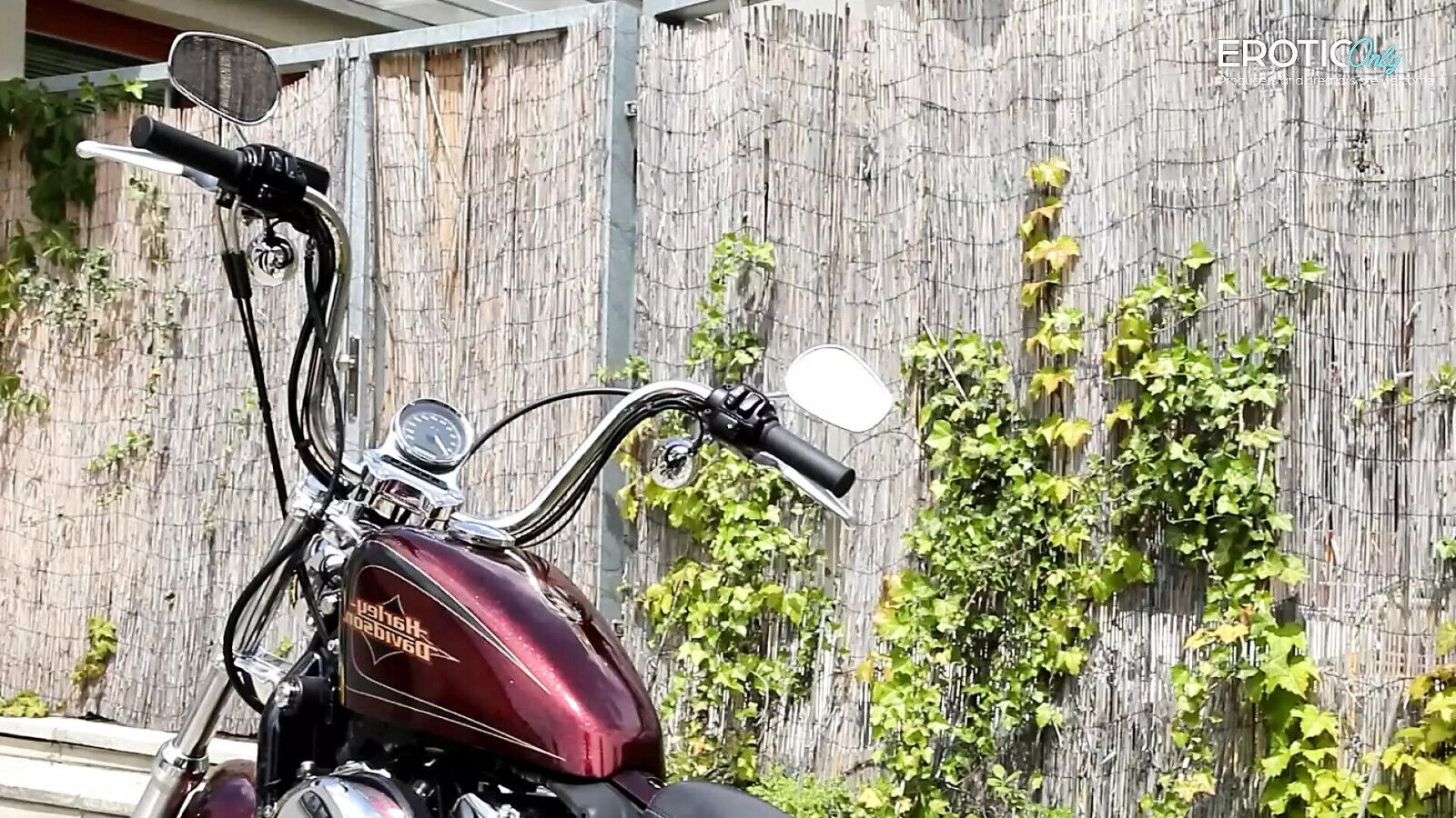 want join Blonde kinky teen rubs pussy this horny piece!