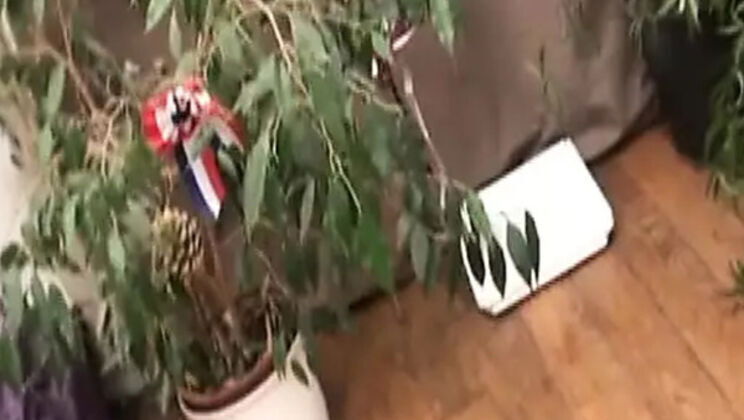 Sexy French MILF Love Crystale Gets Hardcore Fuck Young Stud