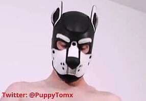 Macetando o @PuppyTomx