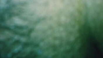 Buceta molhada parte 4