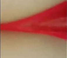 esposinha branquinha puta de luxo de vermelhinha