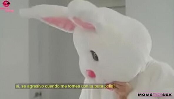 Dando para coelhinho pascoa