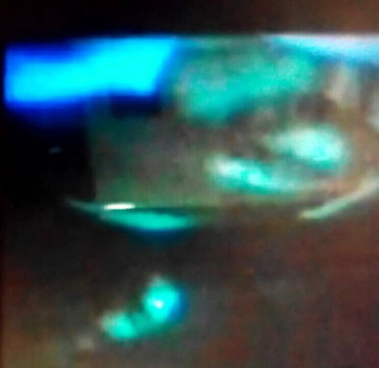 screams much when penetrated