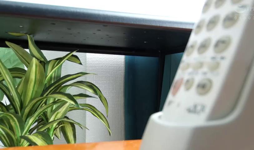 Rumored Moving Company Sends No-Bra Firm-Ass Young Tarts: Misa Amagami