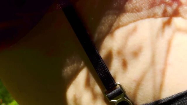 Mesmeriza_compilation_13_Dream_Island_