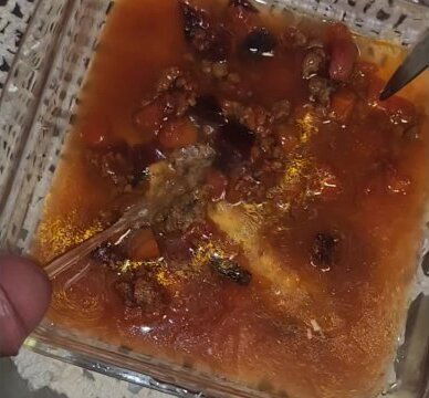 Human bathroom consecutive days (Part 02/08/2025