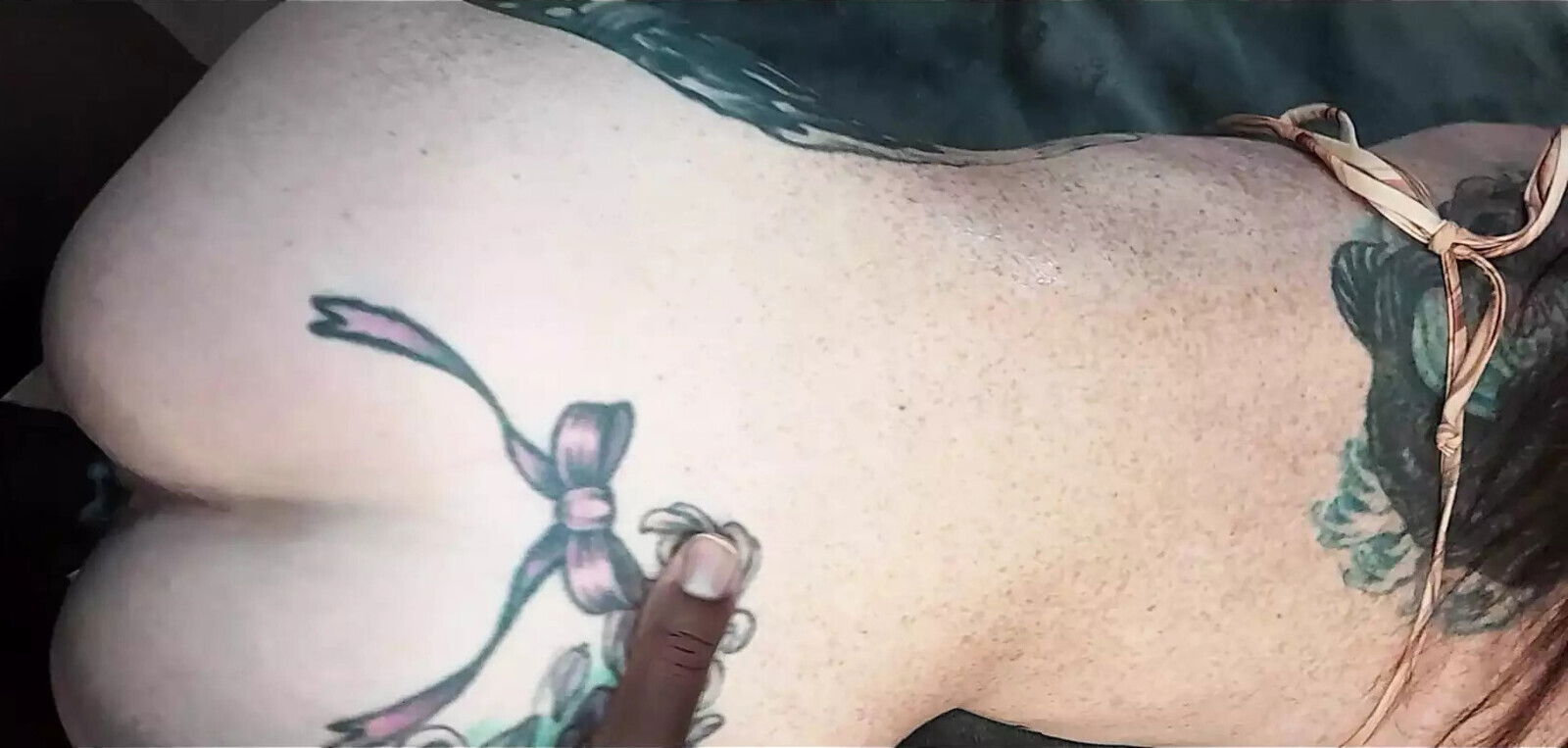 Jay's Summer During Winter