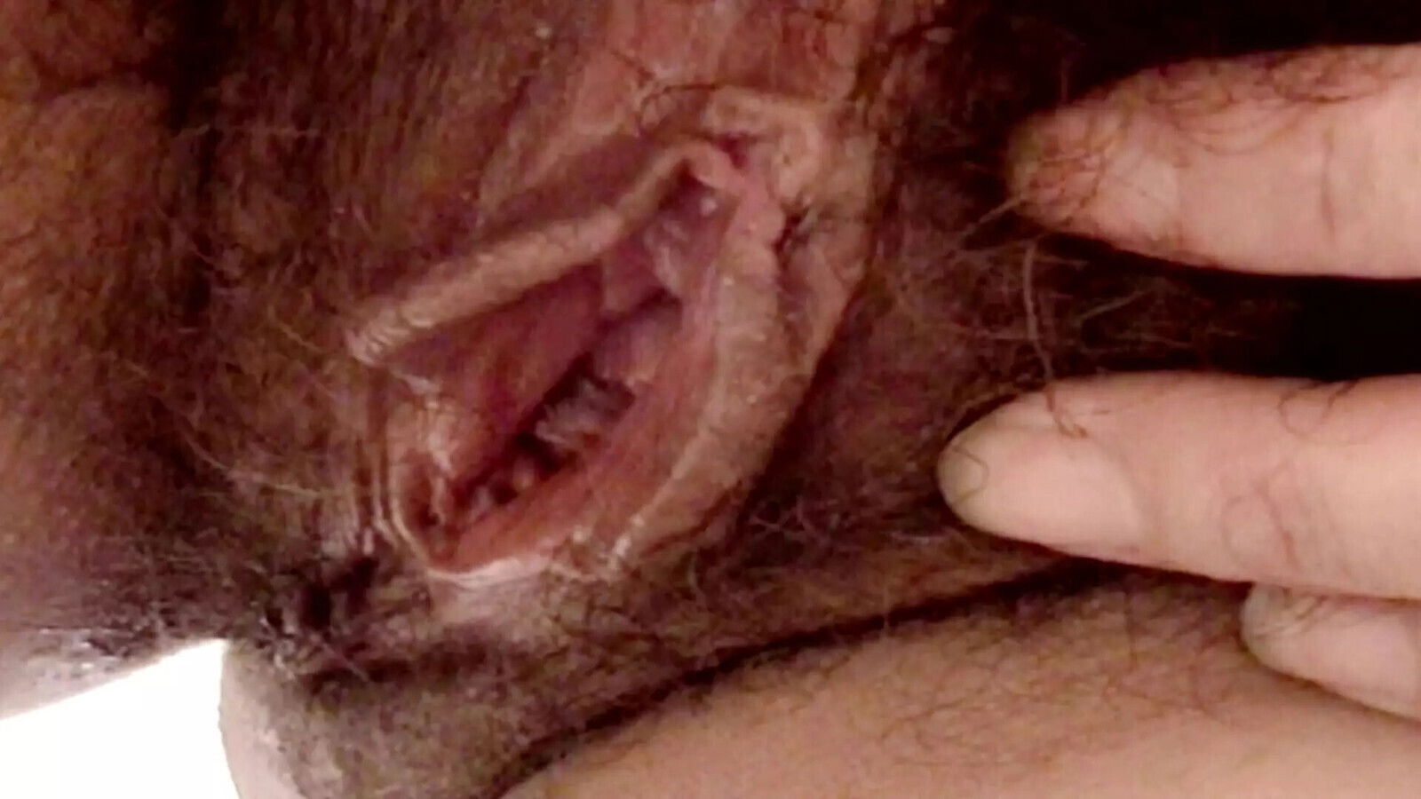 love having hairy pussy licked fucked hard. please loves?