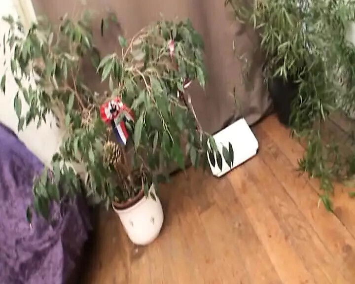 Top-class blonde French MILF fucked hard younger stud