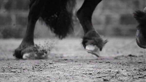 Maluma Feid Mojando Asiento