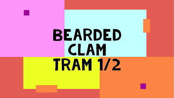 Bearded Clam Tram
