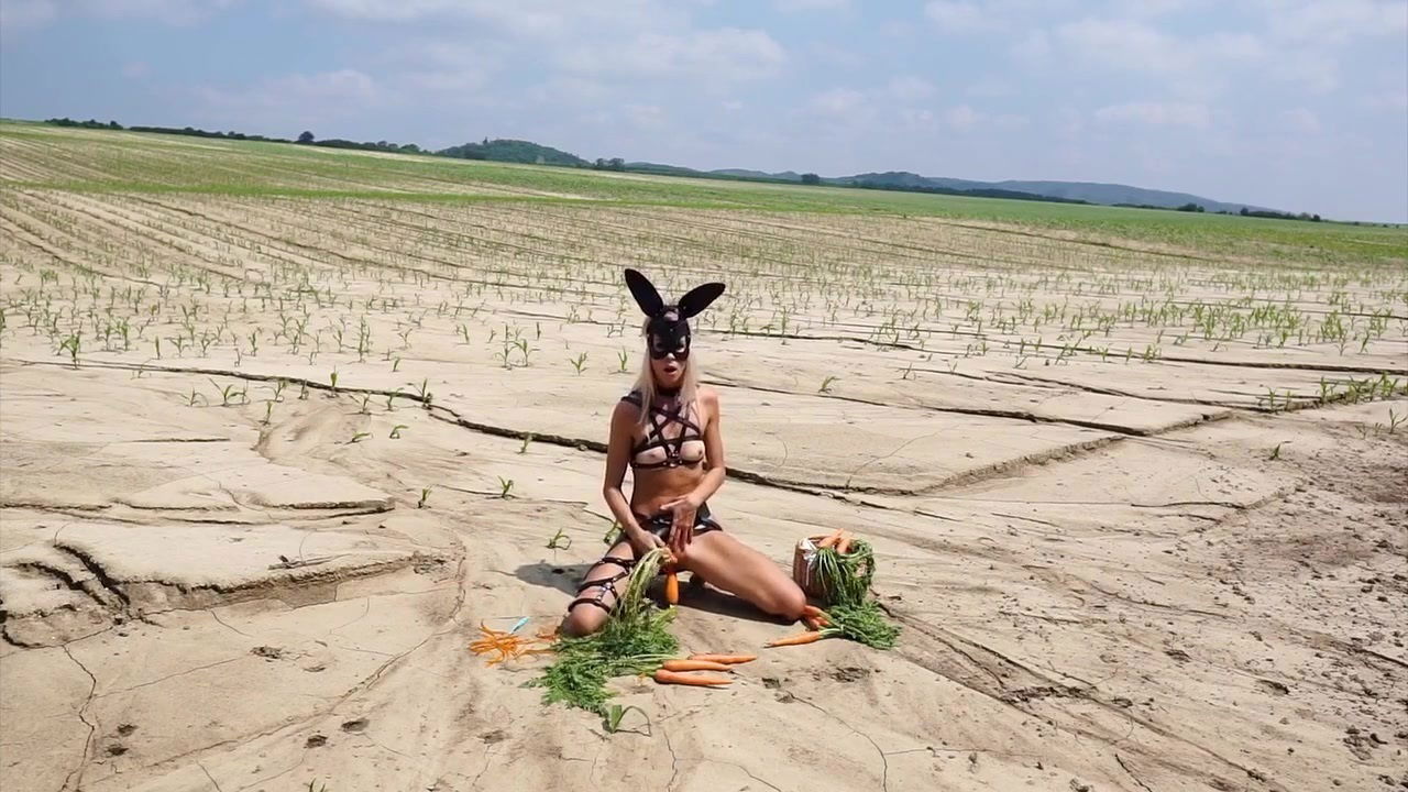 Horny Bunny Jana Volkova Carrots