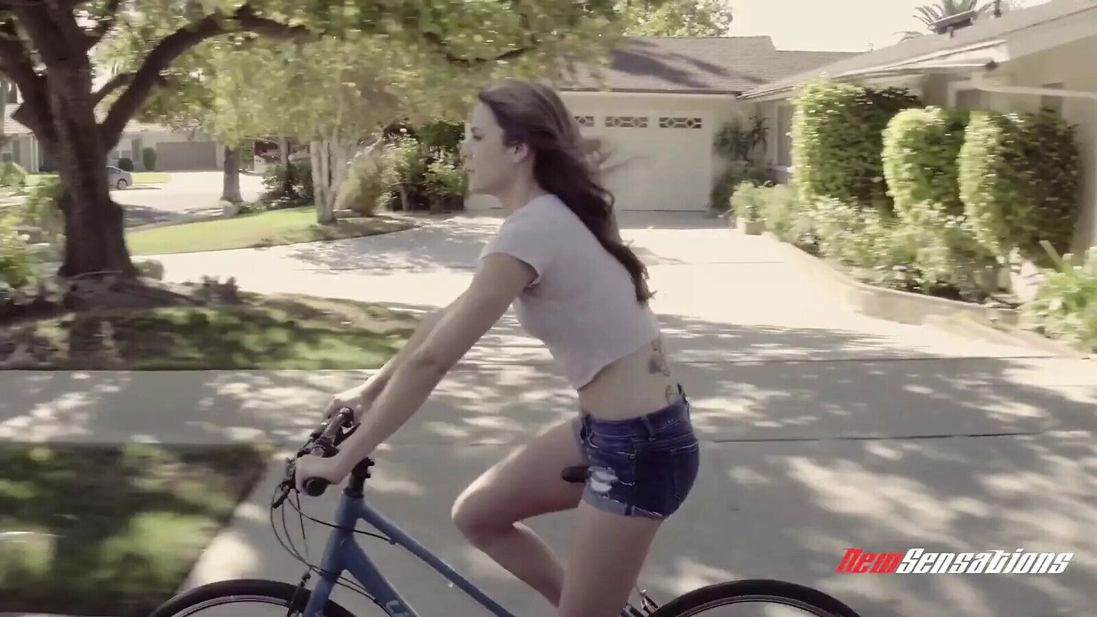 Giving Inside House Ally