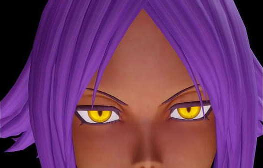 Yoruichi Yoruichi Duel