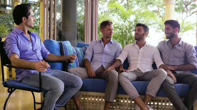 Prince Nico Zetta Vlad Stark xhRrz