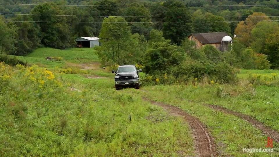 'the Dig': Bdsm Abduction Horror Feature Film